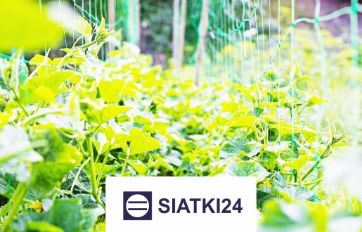   Siatki24.eu - Siatka na ścianę do zabezpieczenia roślin pnących 