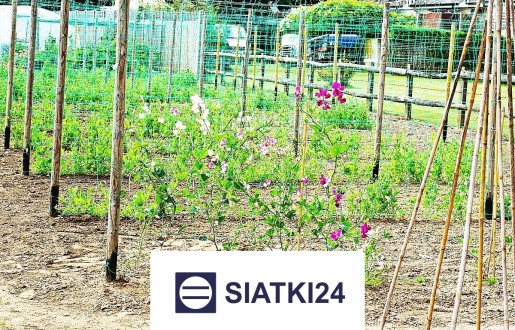   Siatki24.eu - Ogrodzenie grządek podwyższonych - estetyczna i funkczyjna siatka ochronna 
